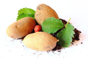 Potatoes and Strawberries