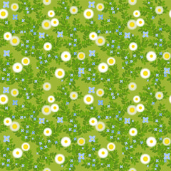 meadow with flowers and grass