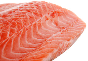 piece of big salmon fillet