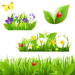 Poster Bloemen met grasvlinder en lieveheersbeestje © barbaliss