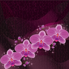 Invitation or greeting card dark red with orchid