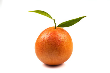 grapefruit or orange?