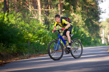 Fototapeta premium A teenager on a bicycle traveling in the forest