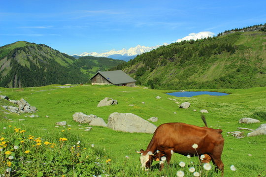Alpage d'Aravis