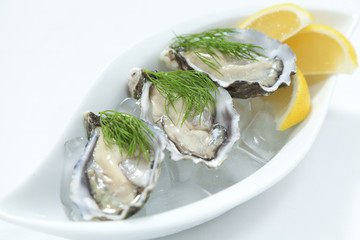 Fresh river oysters