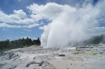 geyser