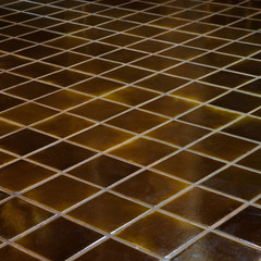 Celadon ceramic tile floor