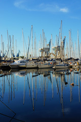 Private yacths in the quay of Palermo