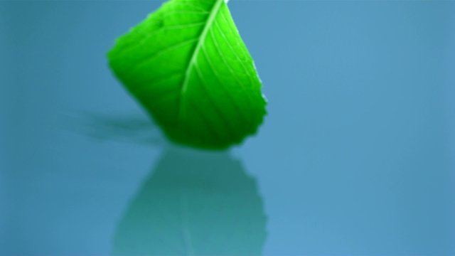 Leaf and water, Slow Motion