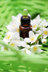 jasmin essential oil