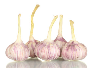young garlic isolated on white background