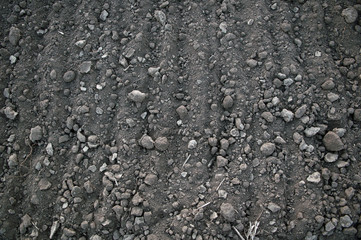 dry land with stones