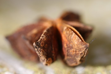anise