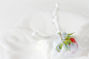 Fototapeta na wymiar Świeże truskawki należących do mleka z bliska rozprysku