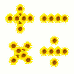 Mathematical sign. sunflower alphabet isolated on white backgrou