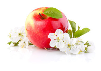 Single Red Apples with Leaf and Flowers isolated on a white back © Hyrma