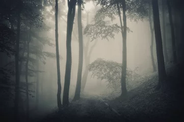 Gordijnen silhouette of trees in a forest with fog © andreiuc88