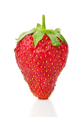 fresh strawberry