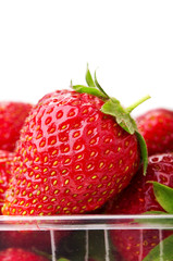 fresh strawberry