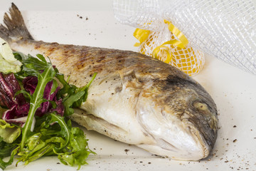 Dorada fish with salad on the white plate. Studio shot