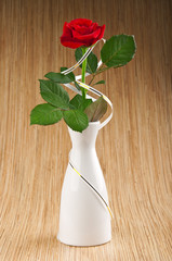 red rose in white vase
