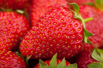 fresh red strawberries