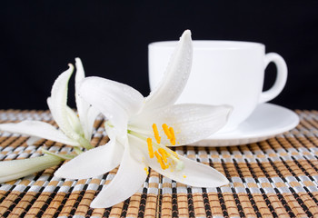 White lily flower with dew drops and a cup of tea