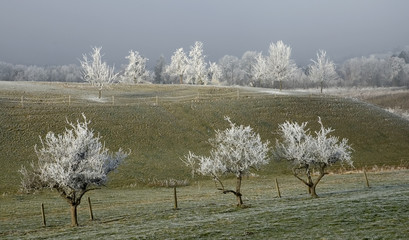 Winterlandschaft bei Lindau