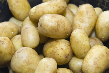 Boiled potatoes