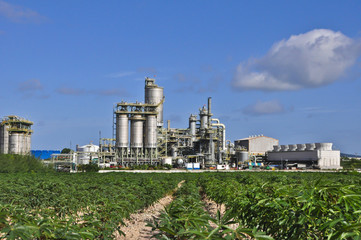 Fototapeta na wymiar Chemical industrial with light of blue sky 