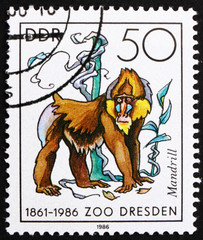 Postage stamp GDR 1986 Mandrill Monkey