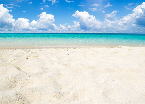 Fototapeta sea