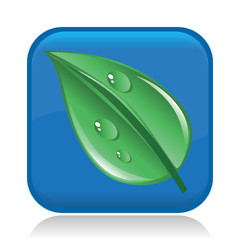 LEAF ICON