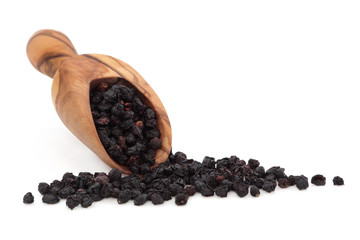 Elderberry Fruit