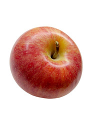 Red apple on a white background