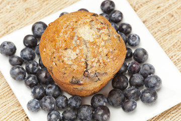 Fresh Homemade blueberry Muffin