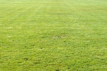 Rasen nachdem Fussballspiel
