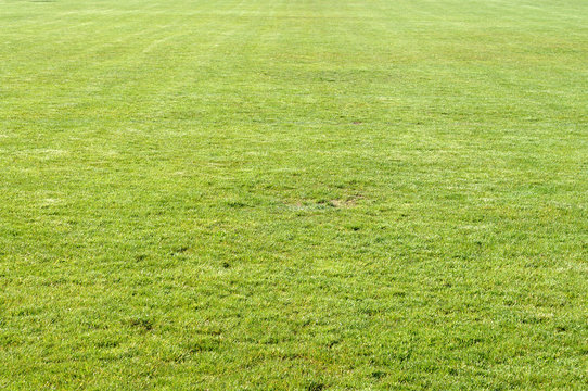 Rasen nachdem Fussballspiel