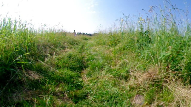 walk on trope