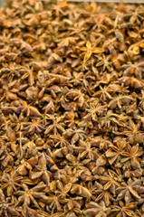 Anise star