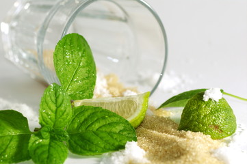 Mojito ingredients