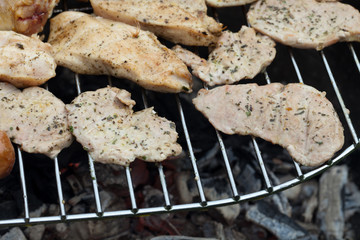 barbecue with delicious grilled meat on grill