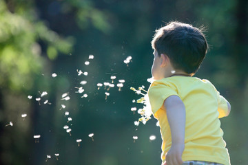 Child blowing away dandelion seeds