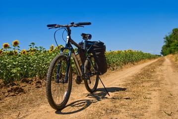 Fototapeta na wymiar bicycle on a rural road