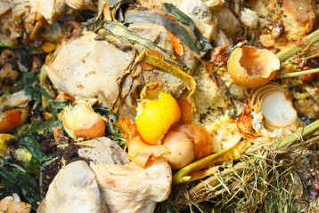 compost alimentaire