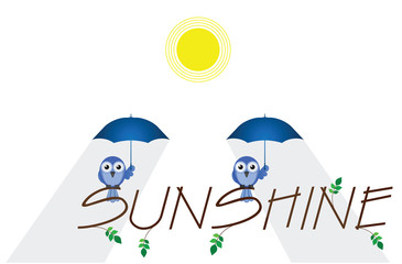 Sunshine twig text isolated on white background