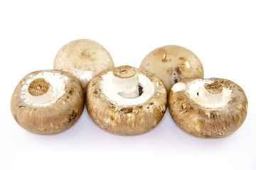 Champignons