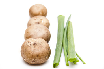 Champignons mit Lauchzwiebel