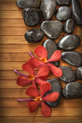 Beautiful red orchid and black stone on bamboo mat