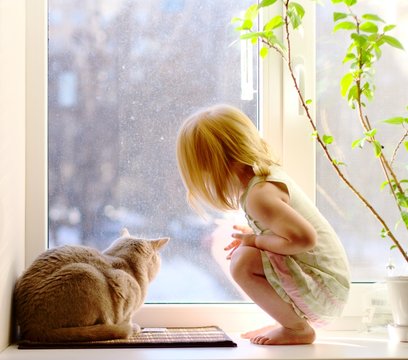 Cat and girl looking out of the window